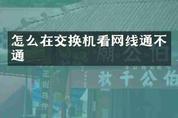 怎么在交换机看网线通不通