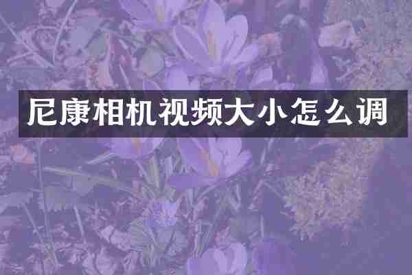 尼康相机视频大小怎么调