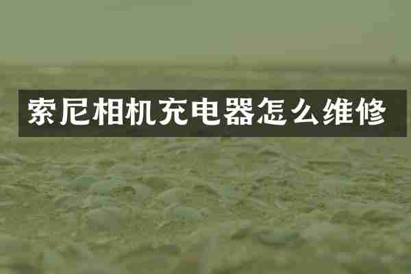索尼相机充电器怎么维修