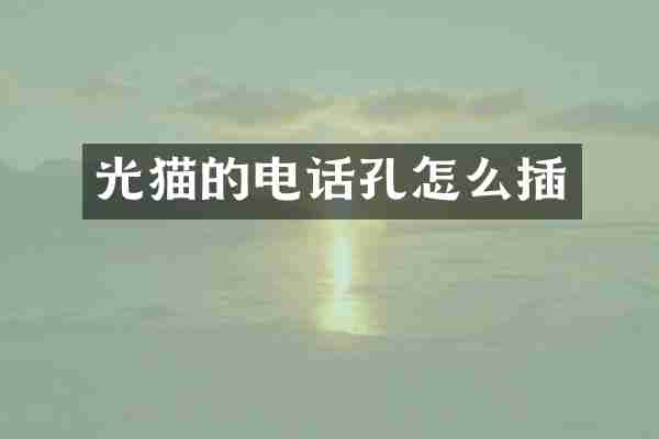光猫的电话孔怎么插