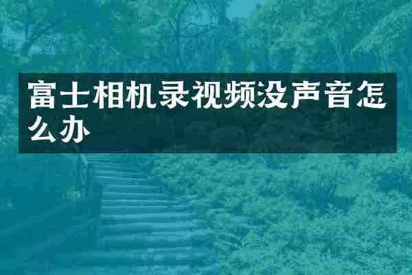 富士相机录视频没声音怎么办