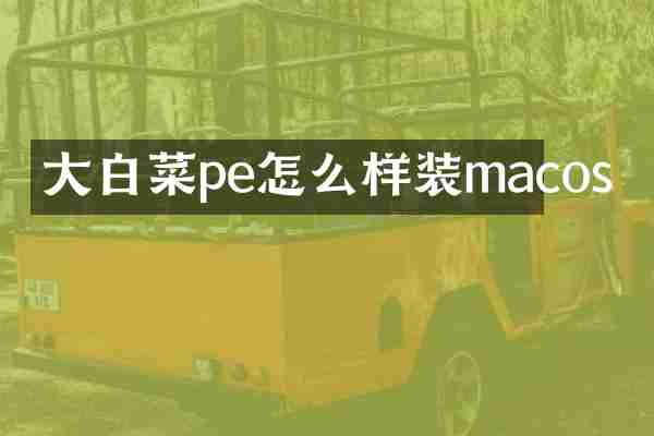 大白菜pe怎么样装macos