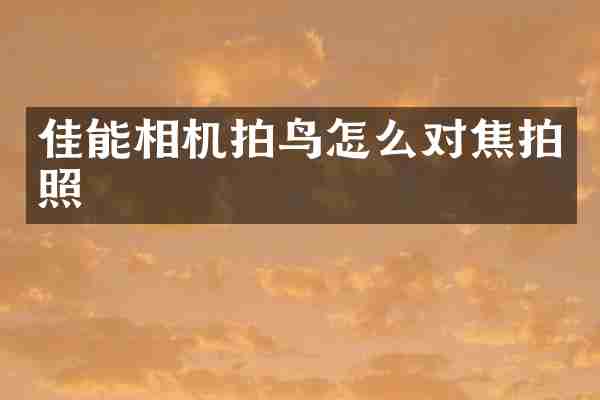 佳能相机拍鸟怎么对焦拍照
