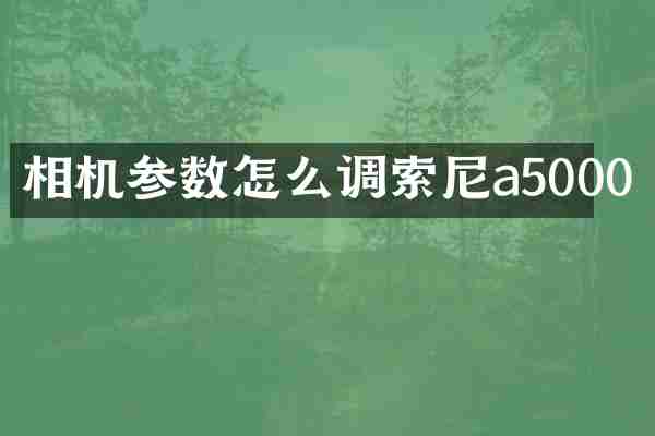 相机参数怎么调索尼a5000