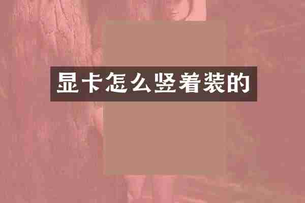 显卡怎么竖着装的