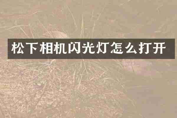 松下相机闪光灯怎么打开