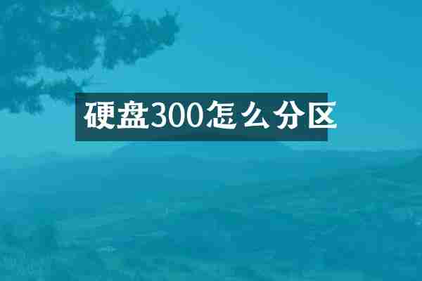 硬盘300怎么分区