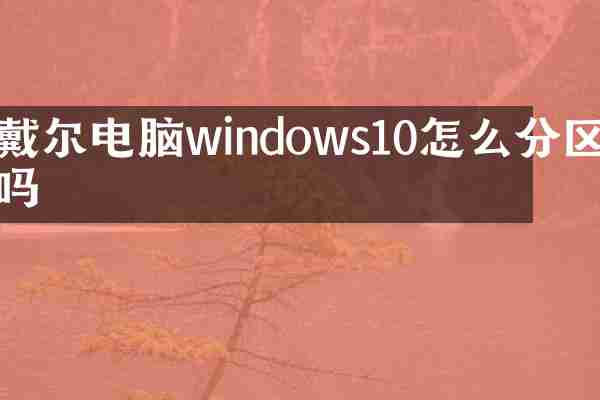 戴尔电脑windows10怎么分区吗