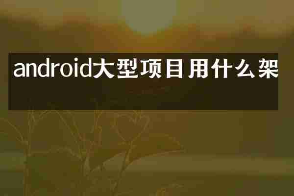android大型项目用什么架构