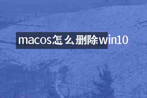 macos怎么删除win10