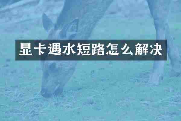 显卡遇水短路怎么解决