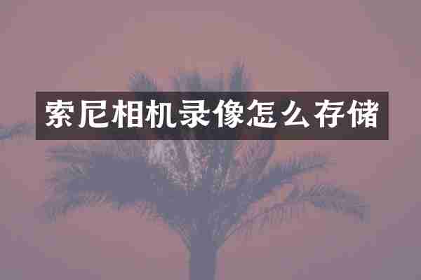 索尼相机录像怎么存储
