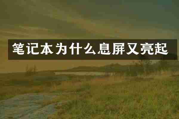 笔记本为什么息屏又亮起