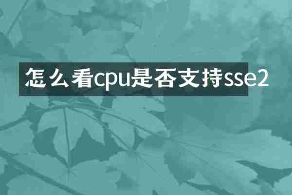 怎么看cpu是否支持sse2
