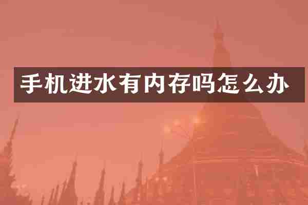 手机进水有内存吗怎么办
