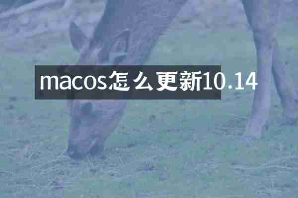 macos怎么更新10.14