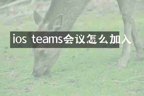 ios teams会议怎么加入