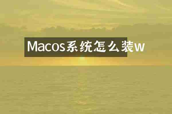 Macos系统怎么装w