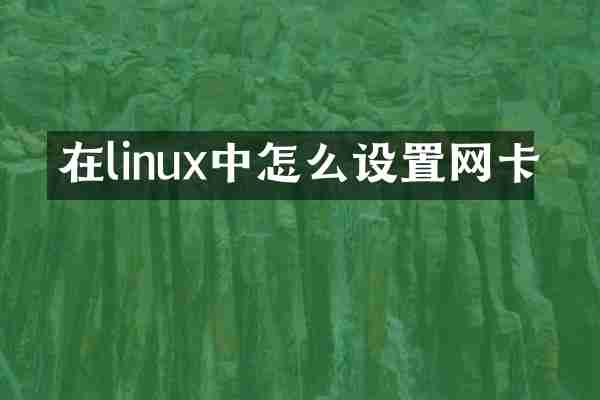 在linux中怎么设置网卡