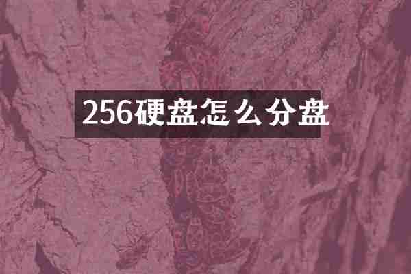 256硬盘怎么分盘
