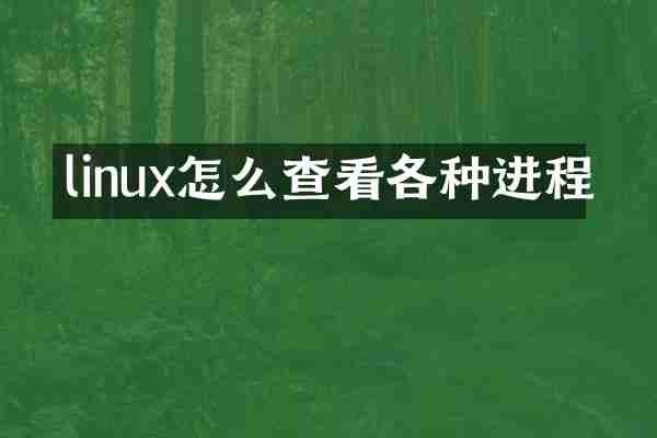 linux怎么查看各种进程