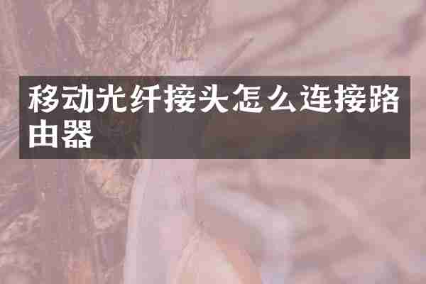 移动光纤接头怎么连接路由器