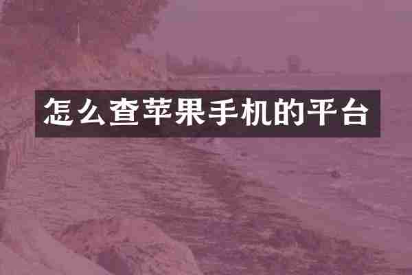 怎么查苹果手机的平台