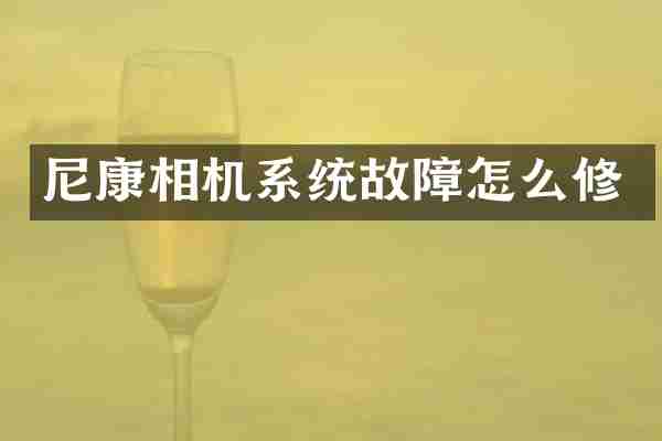 尼康相机系统故障怎么修