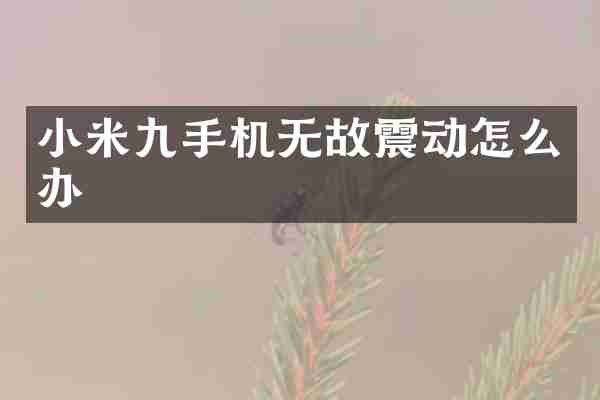 小米九手机无故震动怎么办
