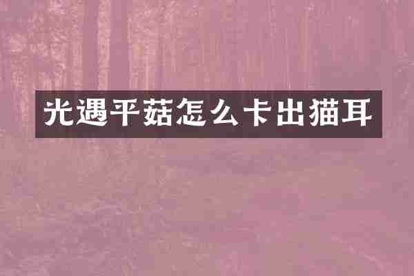 光遇平菇怎么卡出猫耳