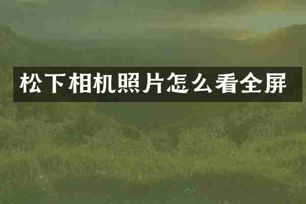 松下相机照片怎么看全屏