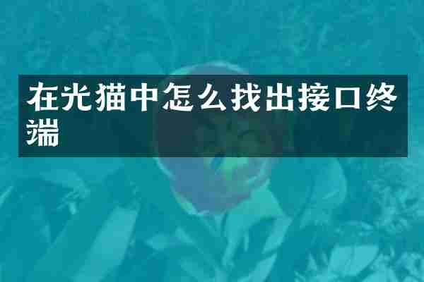在光猫中怎么找出接口终端