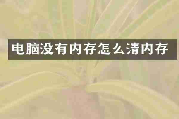 电脑没有内存怎么清内存