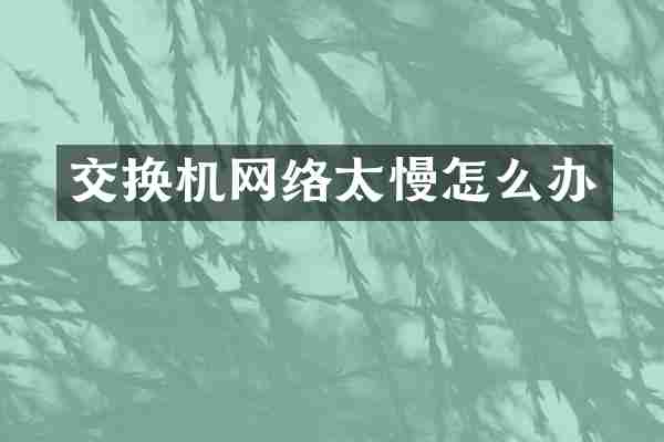 交换机网络太慢怎么办