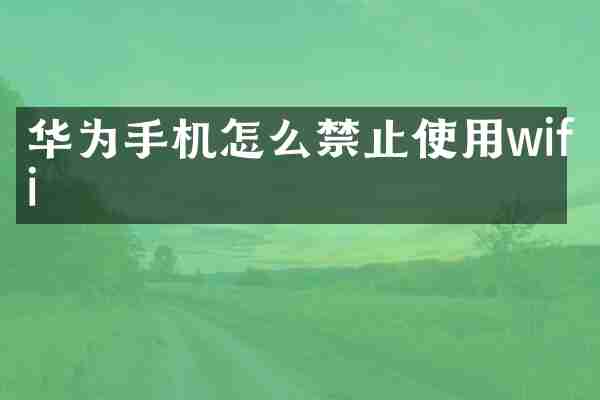 华为手机怎么禁止使用wifi