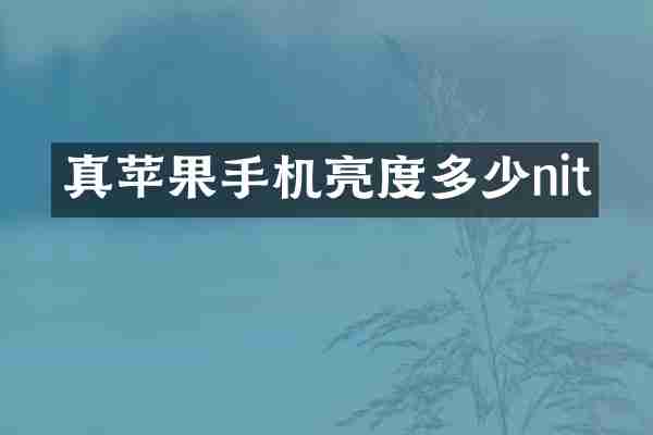 真苹果手机亮度多少nit