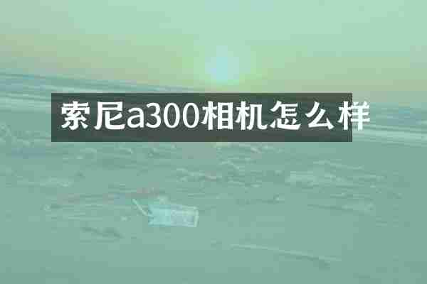 索尼a300相机怎么样