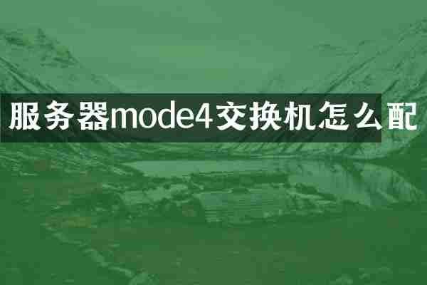 服务器mode4交换机怎么配