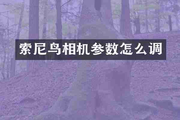 鸟相机参数怎么调