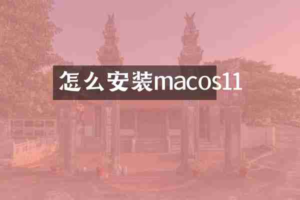 怎么安装macos11