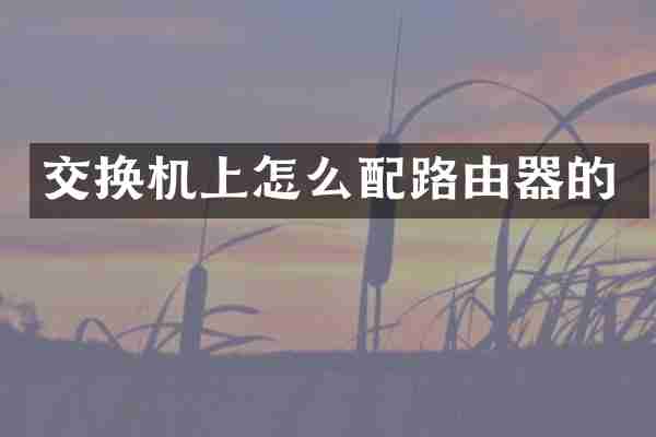 交换机上怎么配路由器的