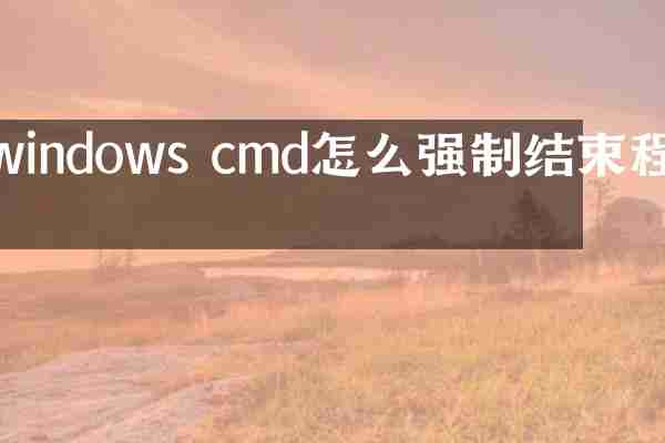 windows cmd怎么强制结束程序