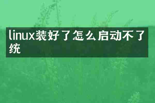 linux装好了怎么启动不了系统