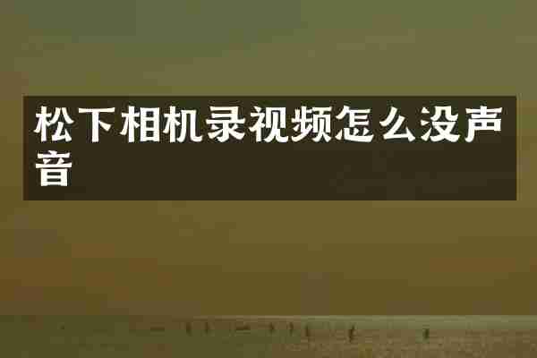松下相机录视频怎么没声音