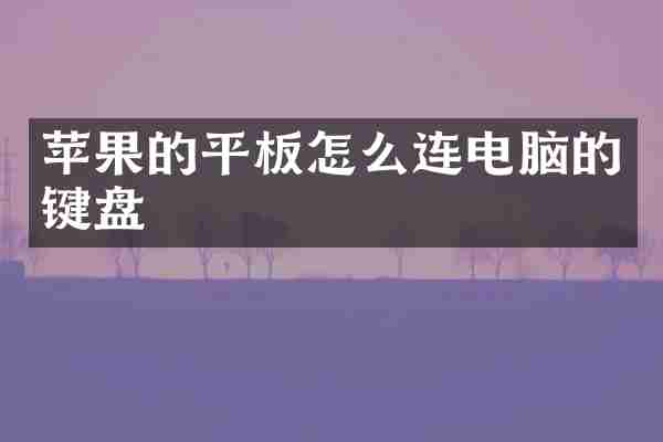 苹果的平板怎么连电脑的键盘