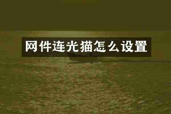 网件连光猫怎么设置