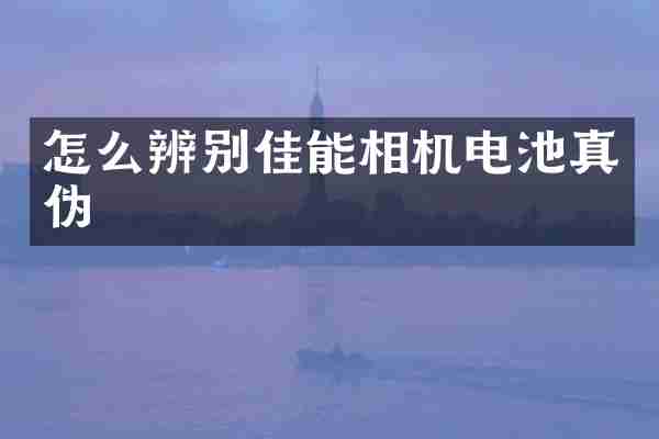 怎么辨别佳能相机电池真伪