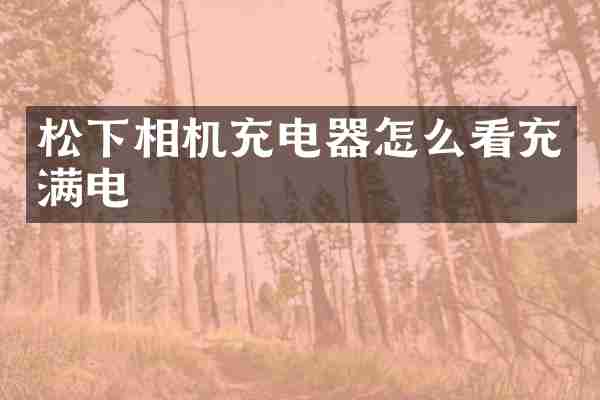 松下相机充电器怎么看充满电