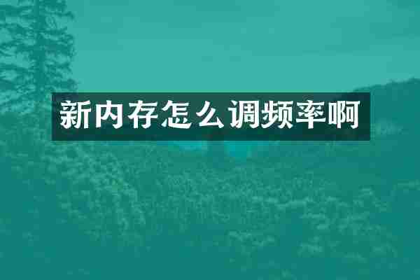 新内存怎么调频率啊