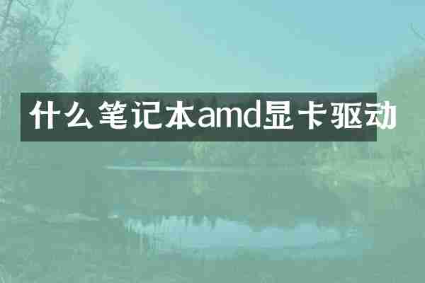 什么笔记本amd显卡驱动